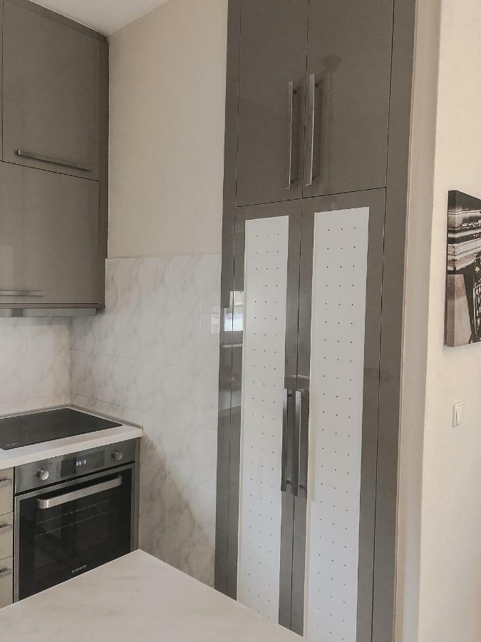 Sofia City Beach Apt. Nea Chora Chania ハニア エクステリア 写真