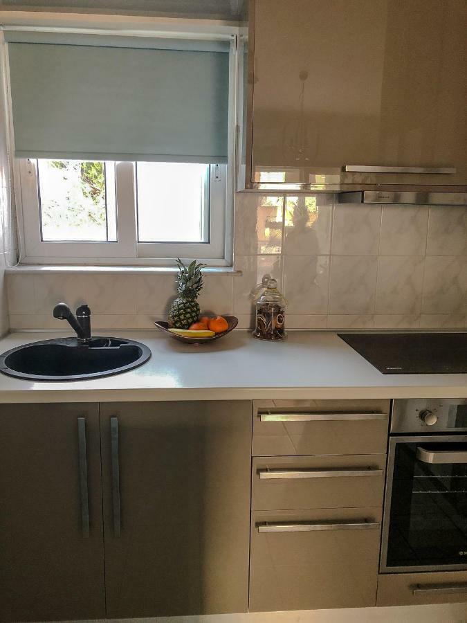 Sofia City Beach Apt. Nea Chora Chania ハニア エクステリア 写真